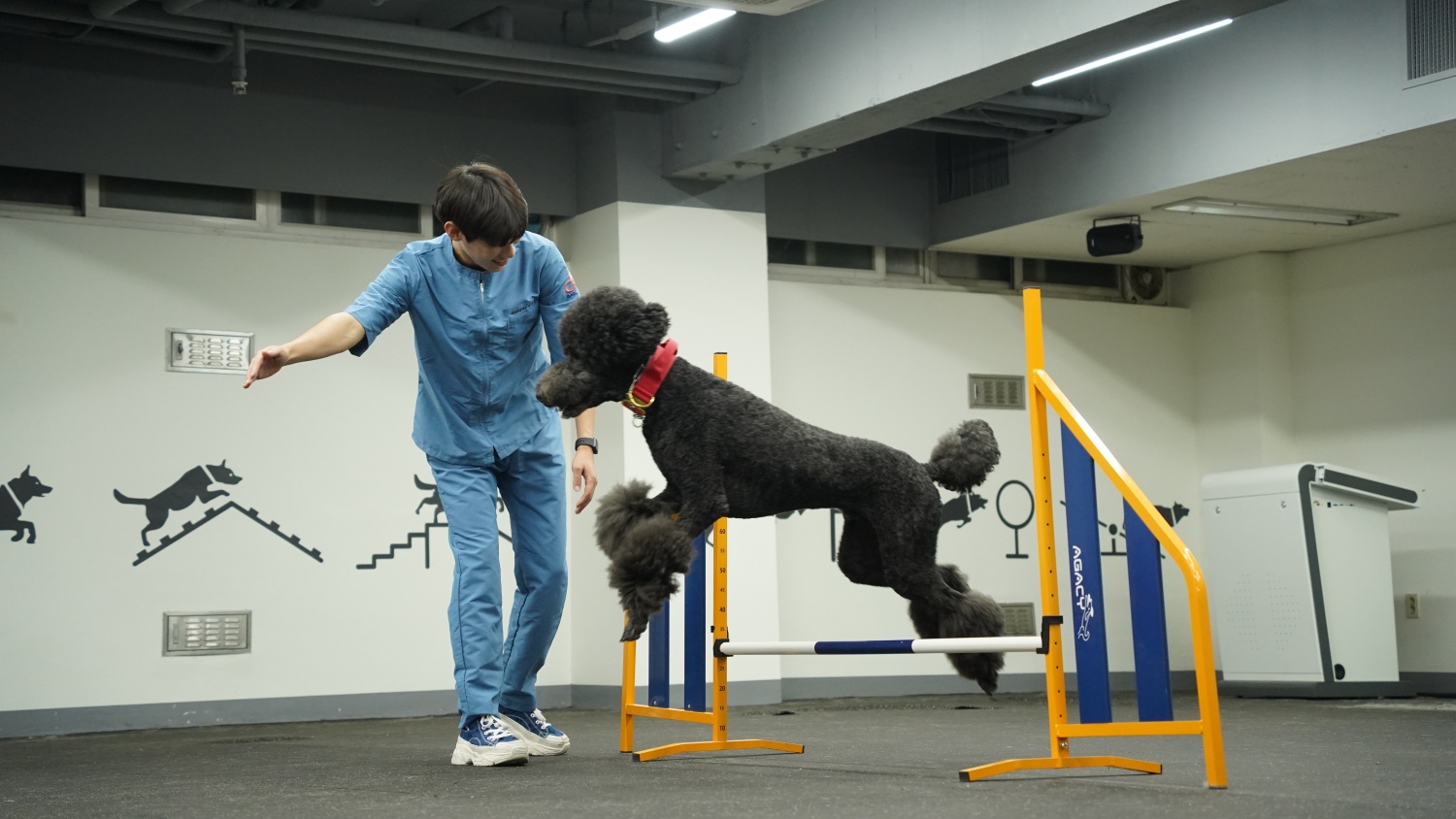 우송정보대학, 대전 유일의 반려동물행동지도사 필기 및 실기 국가자격시험장으로 선정