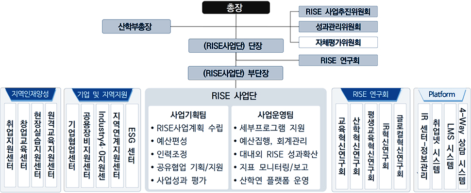 RISE사업단 조직 구성으로는 총장 산하에 산학부총장 / RISE 사업추진위원회, 성과관리위원회, 자체평가위원회 / (RISE사업단) 단장 / RISE 연구회 / (RISE사업단) 부단장이 있습니다. 지역인재양성에는  취업지원센터,창업교육센터,현장실습지원센터,원격교육지원센터가 있고 기업 및 지역지원에는 기업협업센터,공용장비지원센터,Industry4.0지원센,지역연계지원센터,ESG 센터있습니다. RISE 사업단 사업기획팀은 RISE사업계획 수립,예산편성,인력조정,공유협업 기획/지원,사업성과 평가를 하고 RISE 사업단 사업운영팀은 세부프로그램 지원,예산집행, 회계관리,대내외 RISE 성과확산,지표 모니터링/보고,산학연 플랫폼 운영을 합니다. RISE 연구회에는 교육혁신연구회,산학혁신연구회,평생교육혁신연구회,IR혁신연구회,글로컬혁신연구회가 있습니다. Platform에는 IR 센터-정보관리,취업넷 시스템,LMS 시스템,4-Way 상담 시스템이 있습니다.